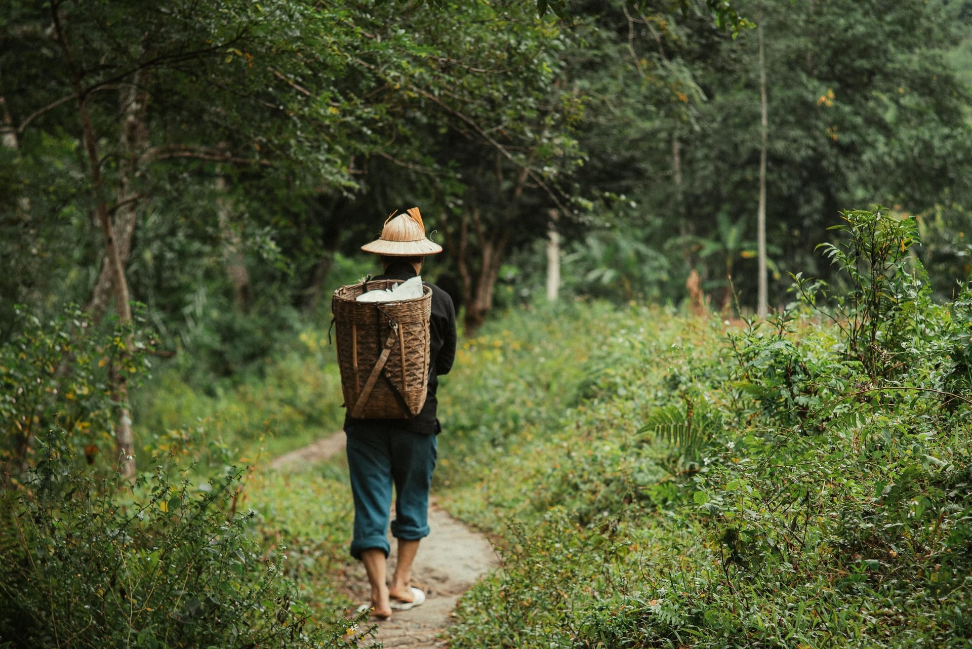 Escursioni in Vietnam - i sentieri più belli del Nord