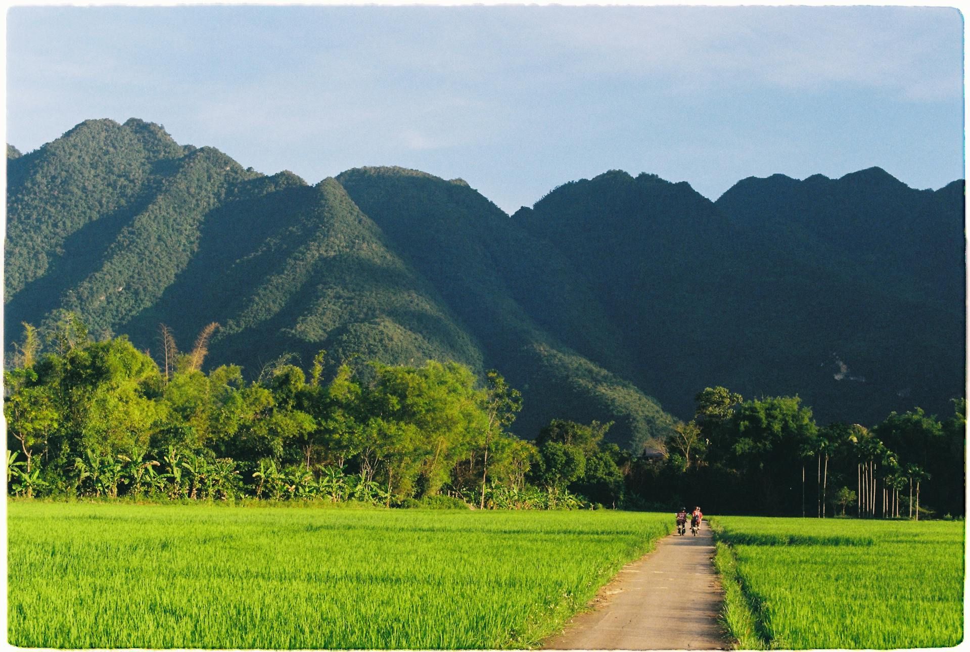 Tour Vietnam Classico Nord-Centro 10 Giorni : Da Hanoi a Hoi An