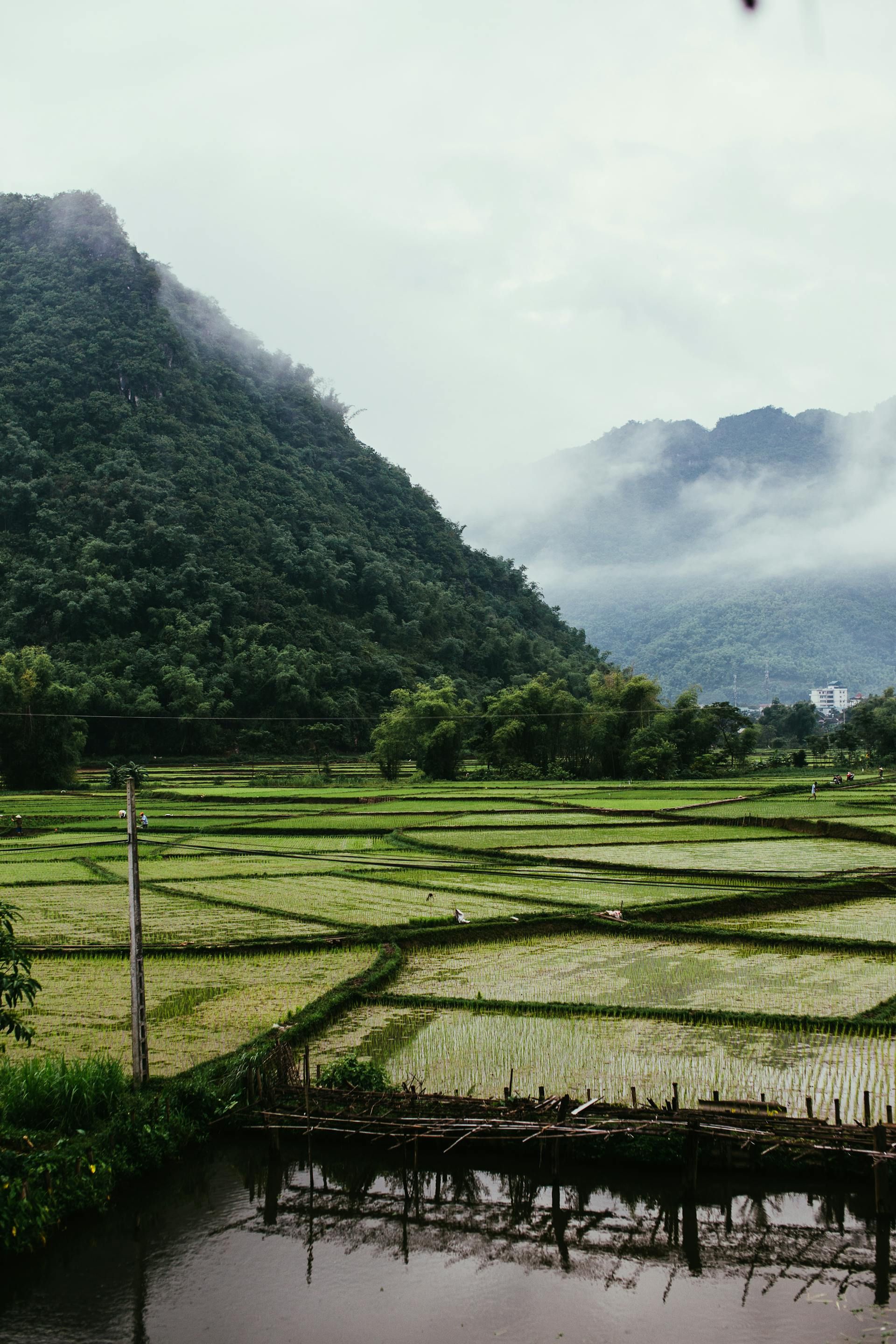 Tour Vietnam Selvaggio 12 Giorni con Cuc Phuong e Cat Ba