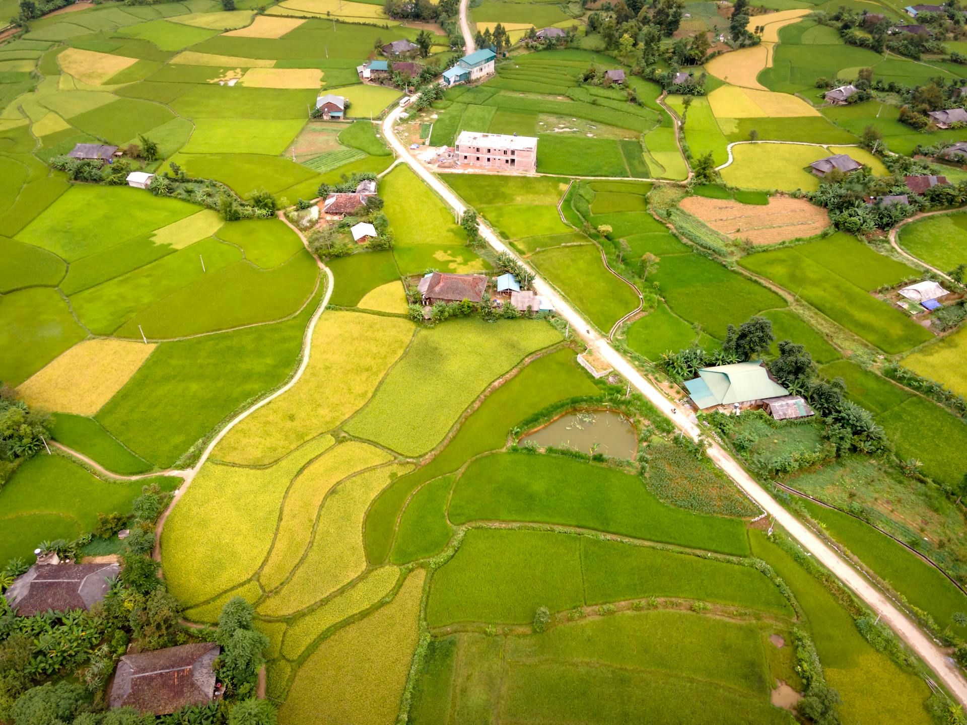 Tour Fotografico Vietnam Nord-Ovest 13 Giorni — Hmong e Risaie