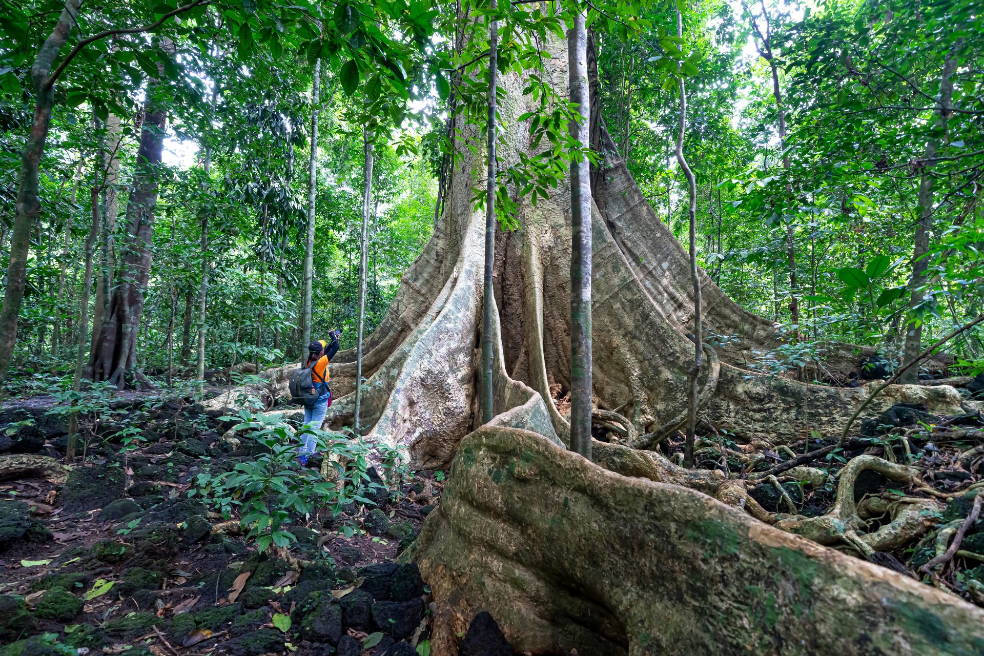 Tour Vietnam Natura Selvaggia 16 Giorni : Phong Nha e Nam Cat Tien