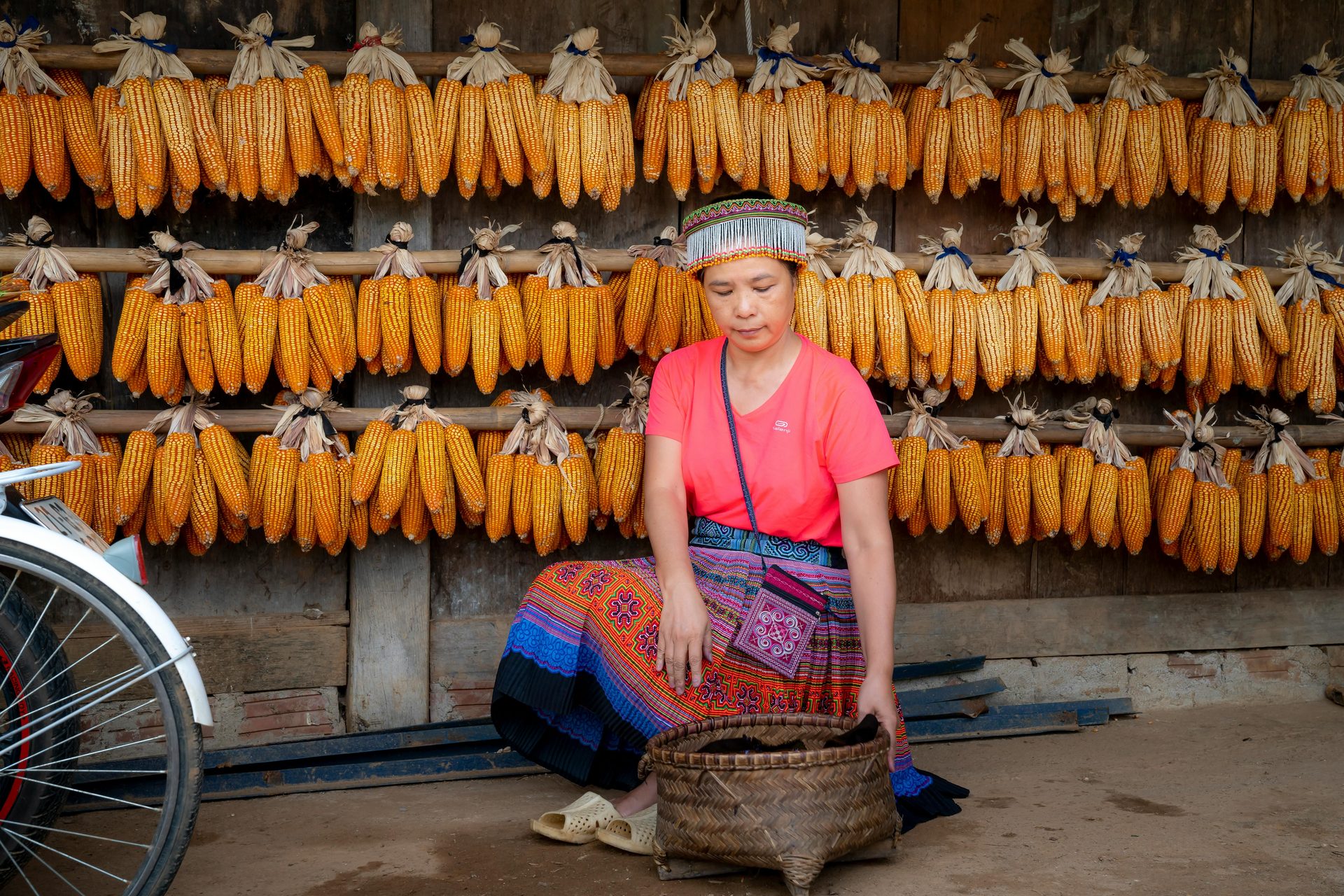 Tour Vietnam Avventura e Cultura 13 Giorni : Nord, Centro e Sud