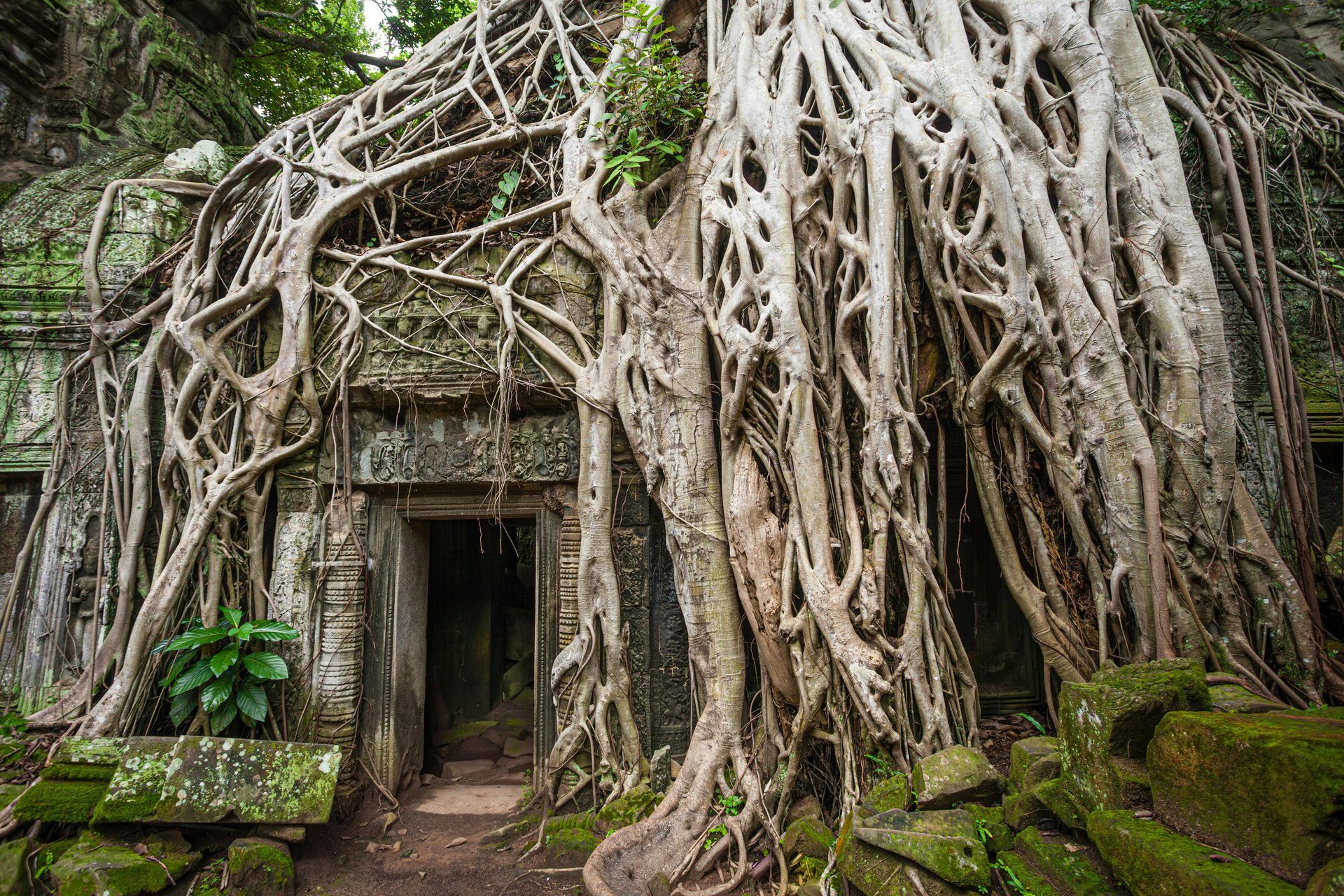Viaggio di Nozze Luxury Cambogia e Vietnam 14 Giorni - 14 giorni / 13 notti