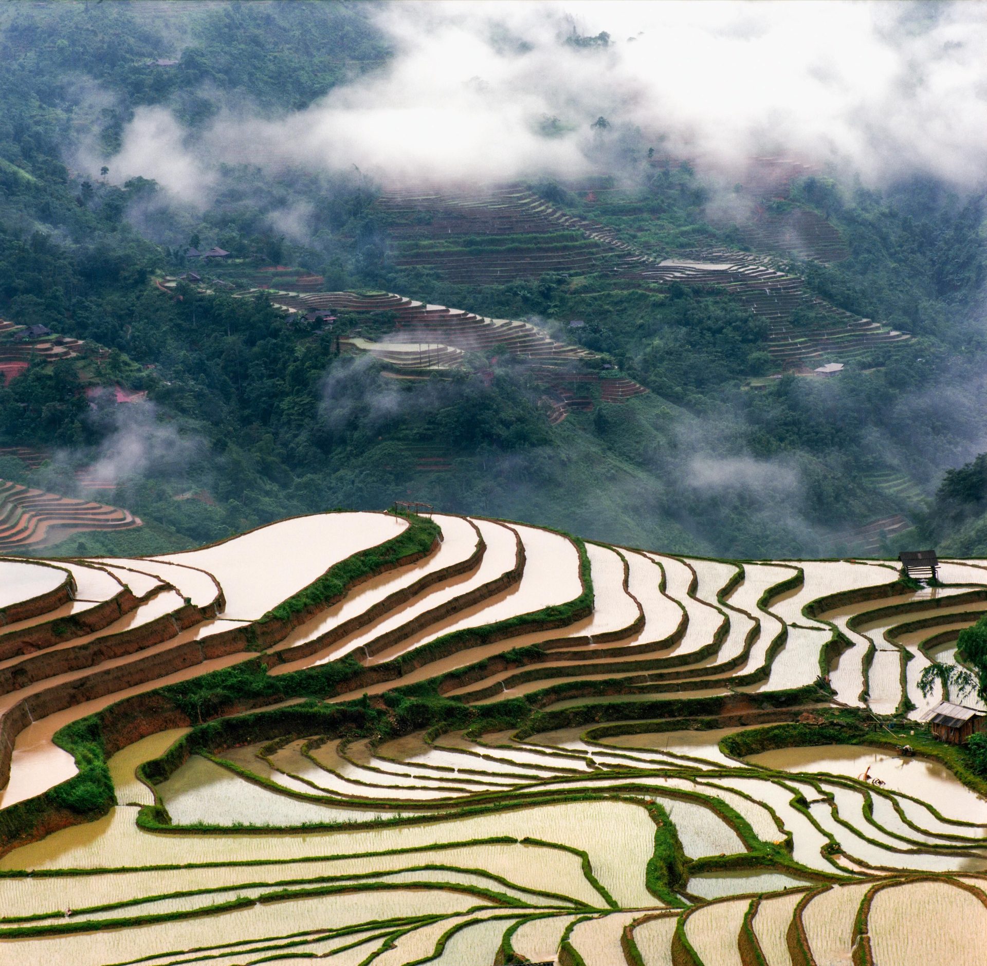 Vietnam landscape