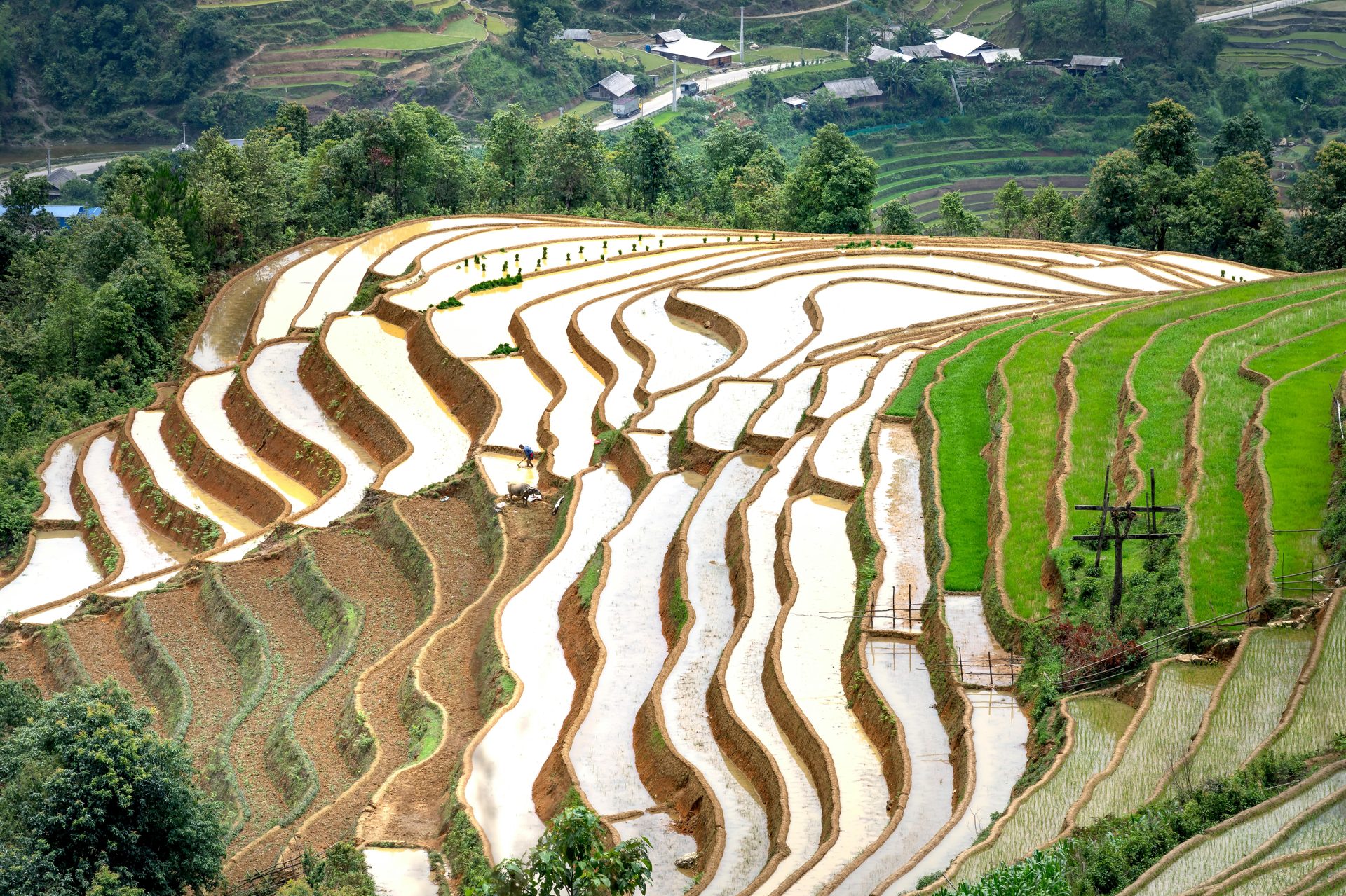 Tour Vietnam Minoranze Etniche 13 Giorni con Hà Giang