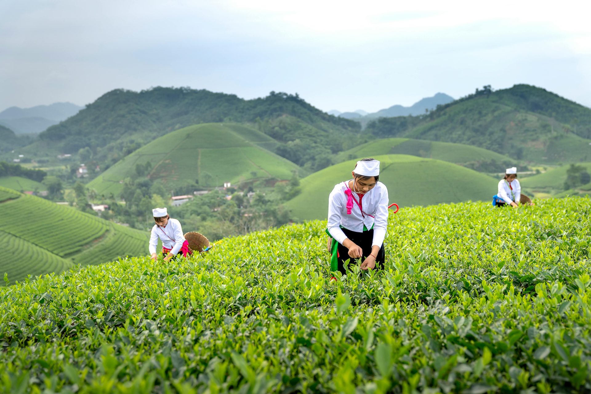 Tour Fotografico Vietnam 13 Giorni : Crociera, Albe e Cerimonia Dao