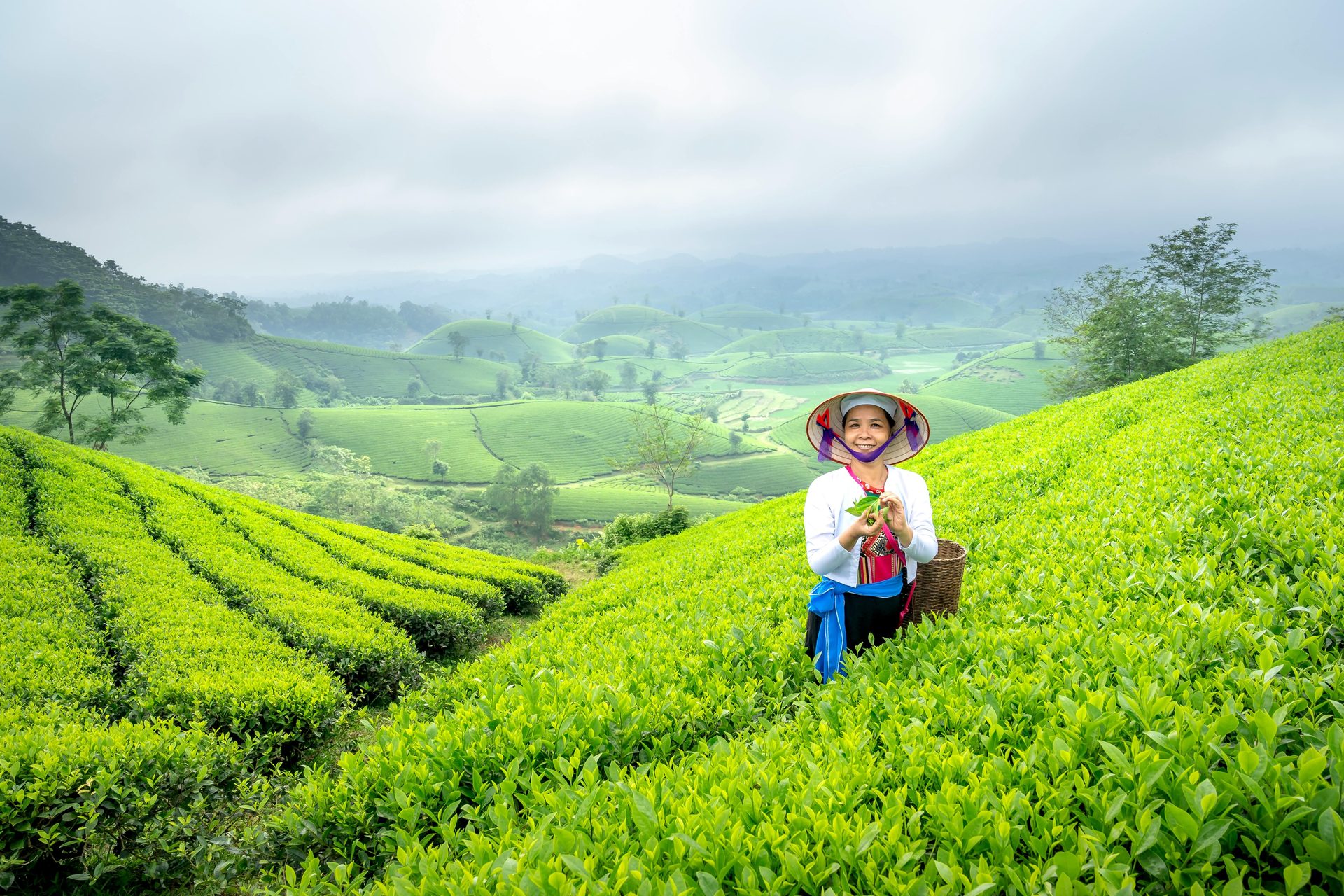 Tour Fotografico Vietnam 13 Giorni : Crociera, Albe e Cerimonia Dao