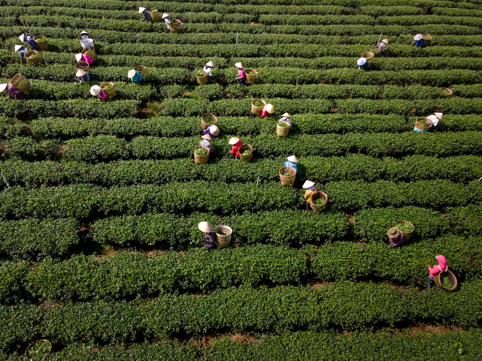 Tour Mu Cang Chai e Sapa 5 Giorni con Risaie Terrazzate