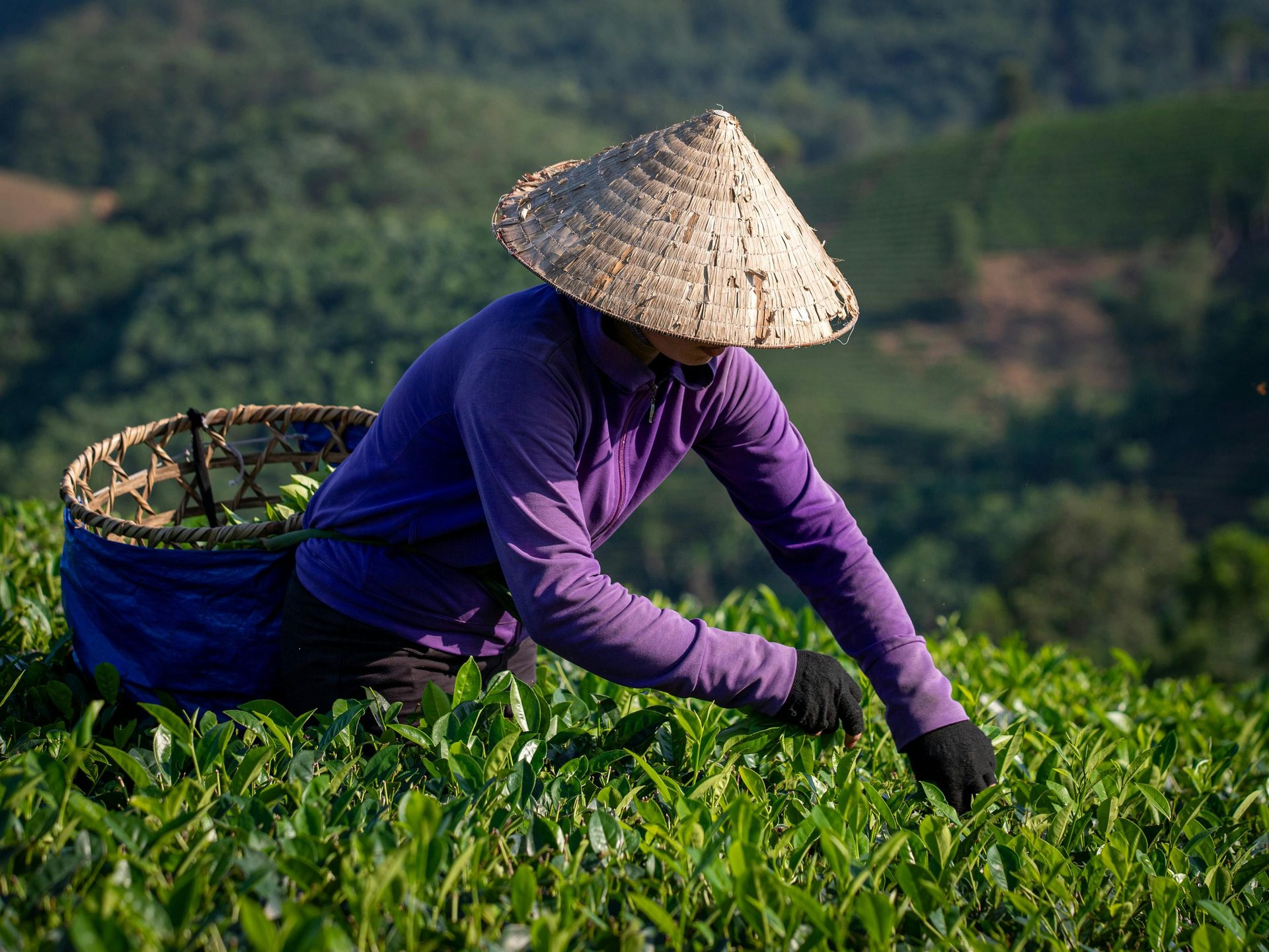 Tour Mu Cang Chai e Sapa 5 Giorni con Risaie Terrazzate - 5 giorni / 4 notti