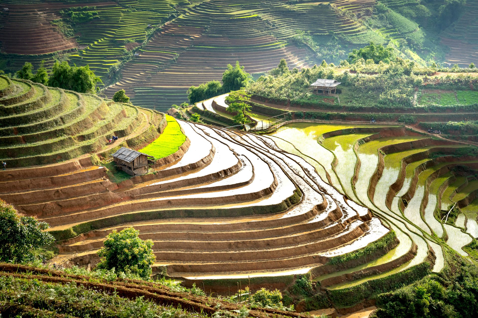 Tour Fotografico Vietnam Nord-Ovest 13 Giorni — Hmong e Risaie - 13 giorni / 12 notti
