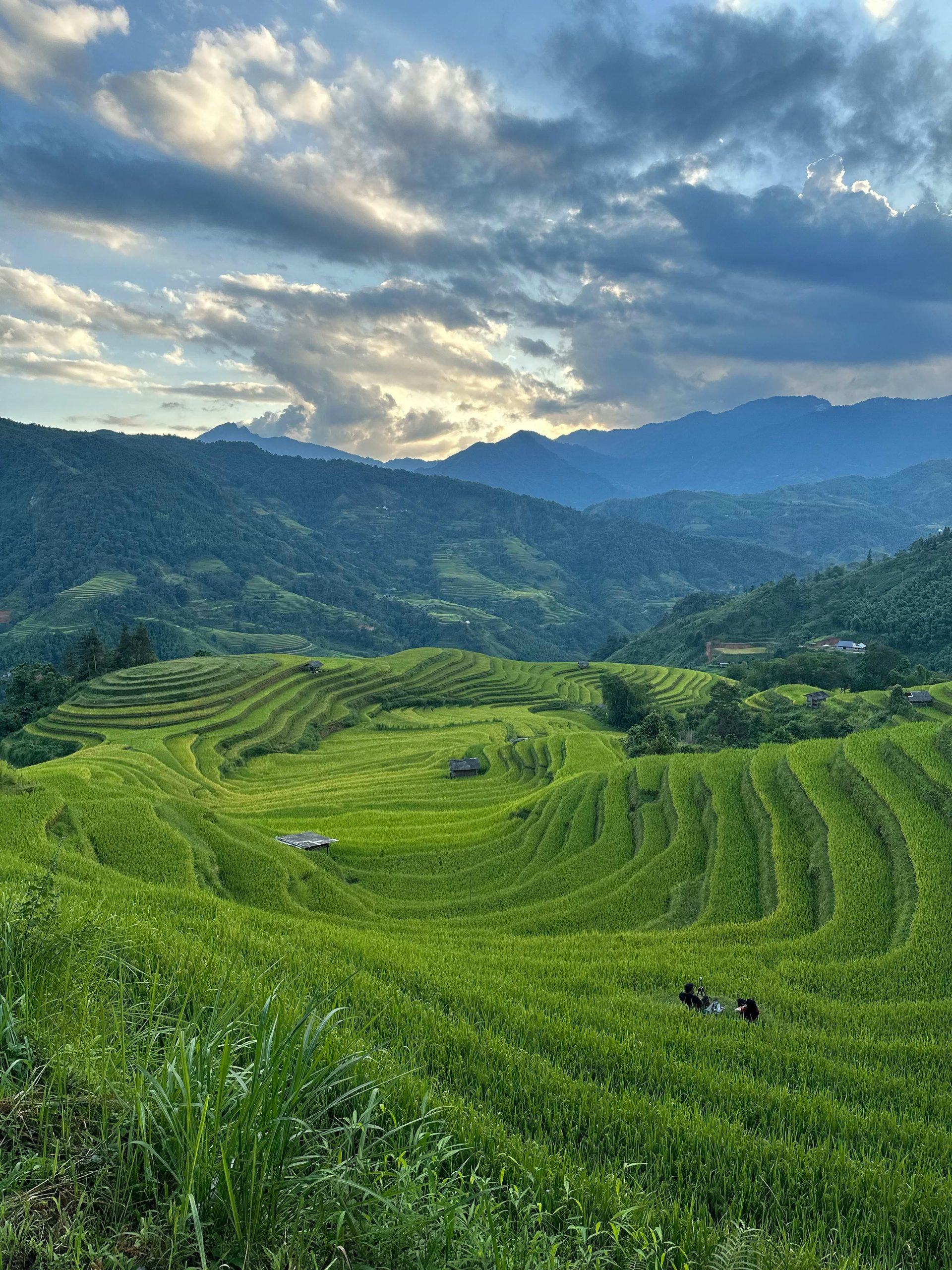Tour Mu Cang Chai e Sapa 5 Giorni con Risaie Terrazzate