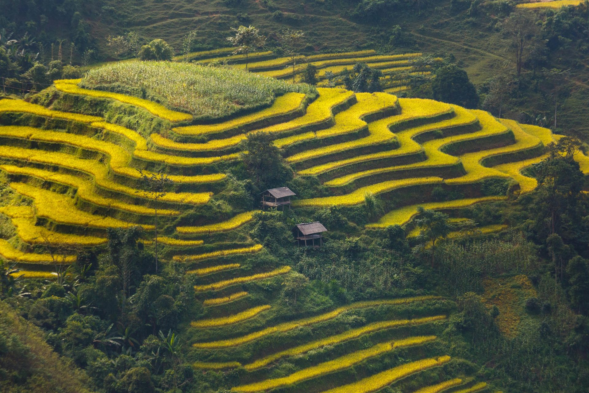 Tour Vietnam e Siem Reap 12 Giorni : Prima Volta in Indocina