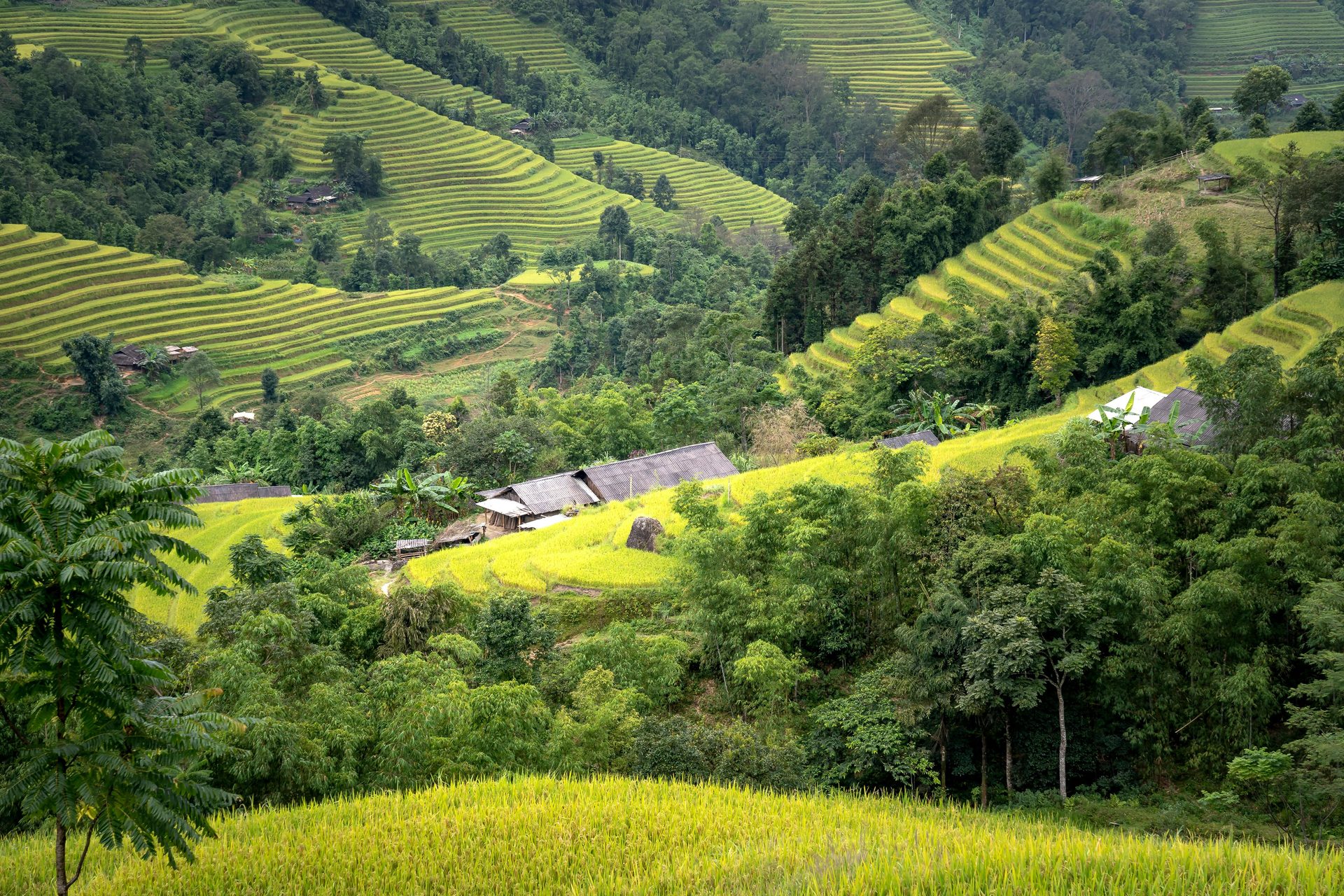 Perché il Vietnam è una destinazione ideale per le escursioni