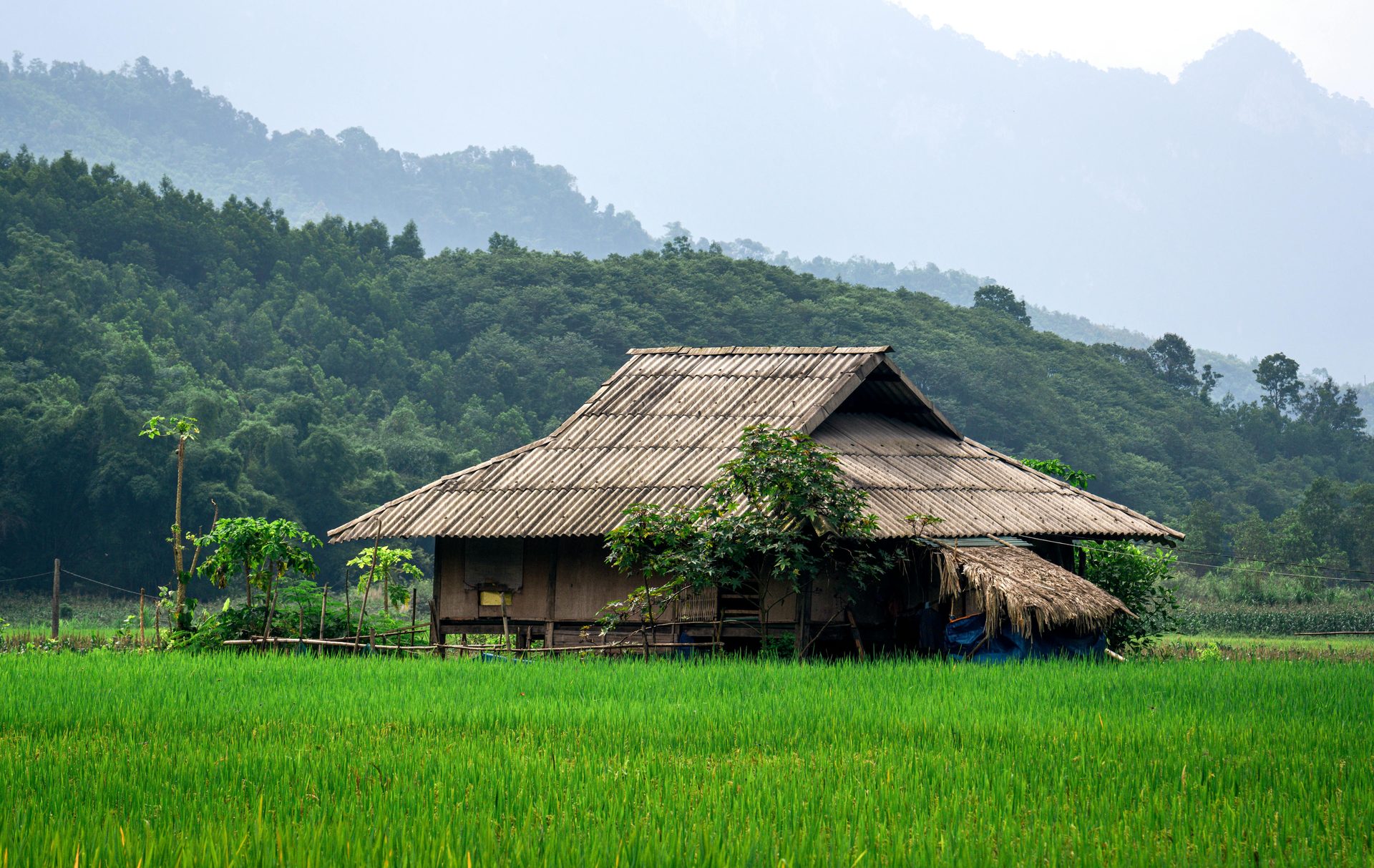 Tour Vietnam e Siem Reap 12 Giorni : Prima Volta in Indocina