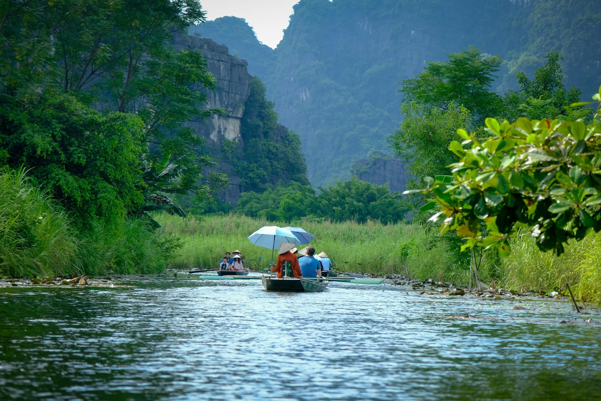 Tour Vietnam Natura Selvaggia 16 Giorni : Phong Nha e Nam Cat Tien