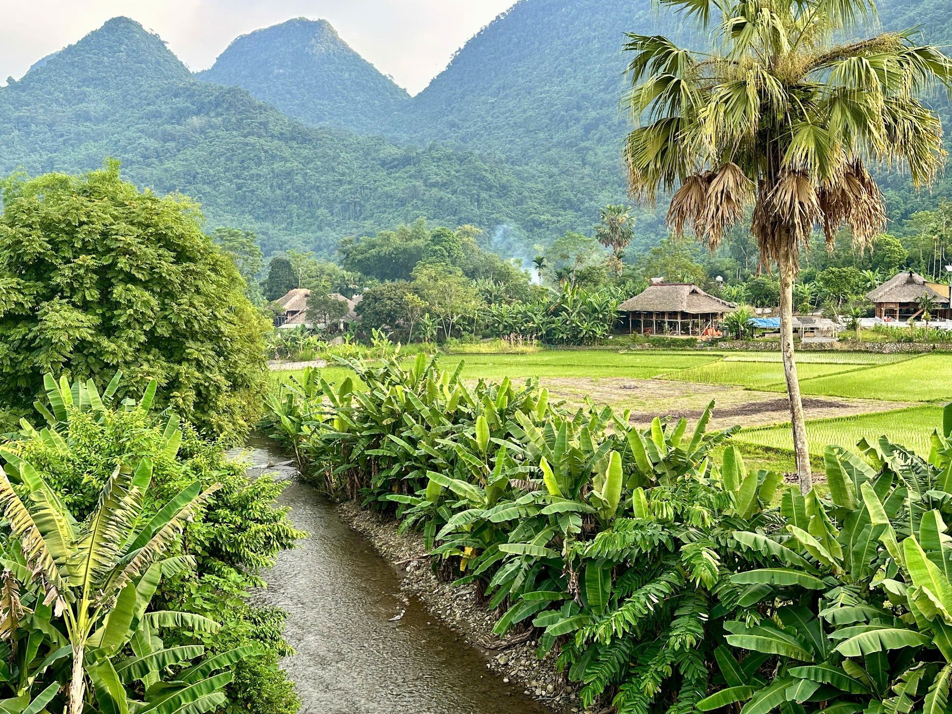 Tour Vietnam Avventura e Cultura 13 Giorni : Nord, Centro e Sud