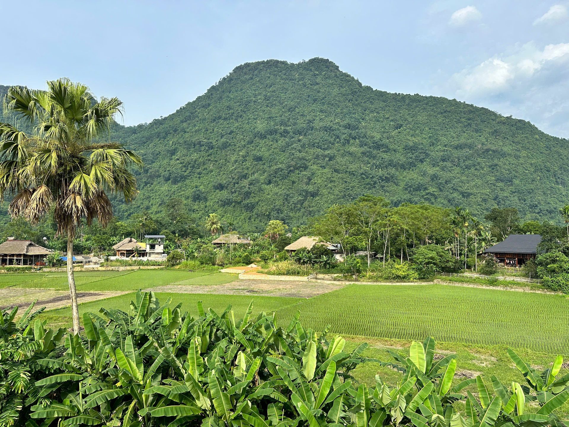 Tour Vietnam Avventura e Cultura 13 Giorni : Nord, Centro e Sud