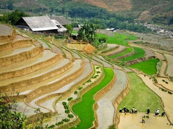 Dalle Risaie di Sapa al Delta del Mekong